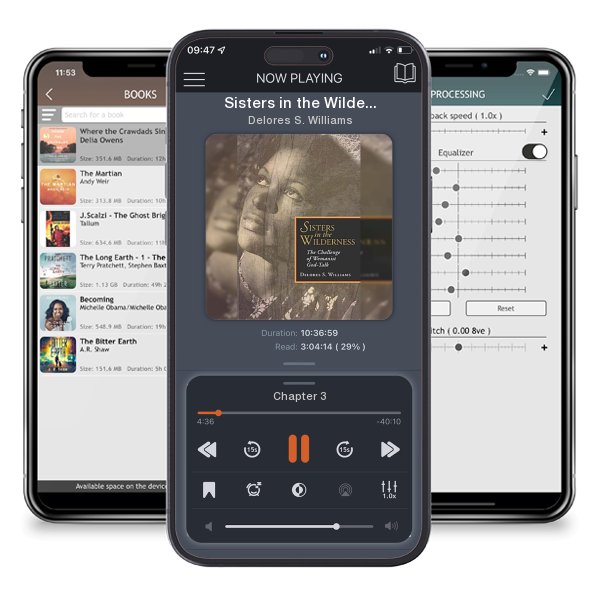 Download fo free audiobook Sisters in the Wilderness: The Challenge of Womanist God-Talk by Delores S. Williams and listen anywhere on your iOS devices in the ListenBook app.