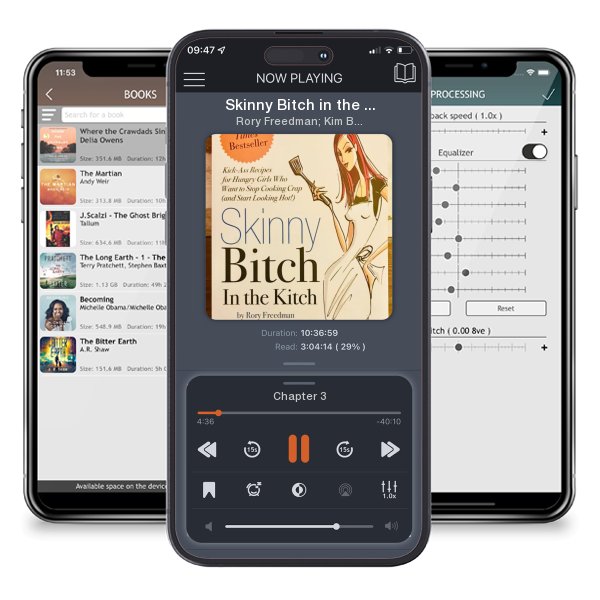 Download fo free audiobook Skinny Bitch in the Kitch by Rory Freedman; Kim Barnouin and listen anywhere on your iOS devices in the ListenBook app.