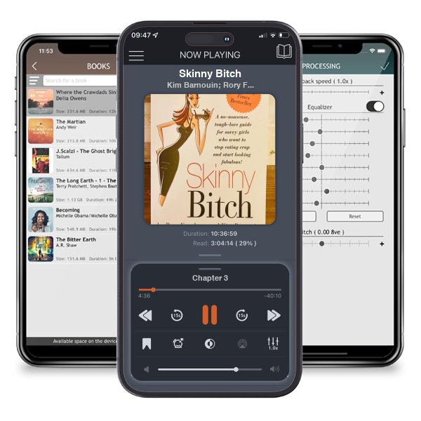 Download fo free audiobook Skinny Bitch by Kim Barnouin; Rory Freedman and listen anywhere on your iOS devices in the ListenBook app.