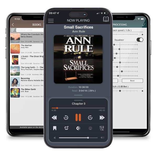 Download fo free audiobook Small Sacrifices by Ann Rule and listen anywhere on your iOS devices in the ListenBook app.