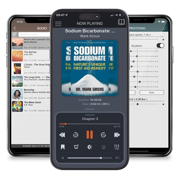 Download fo free audiobook Sodium Bicarbonate: Nature's Unique First Aid Remedy by Mark Sircus and listen anywhere on your iOS devices in the ListenBook app.
