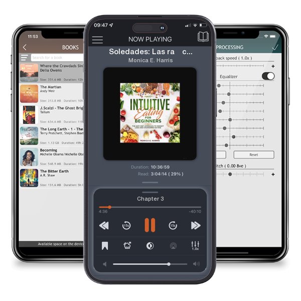 Download fo free audiobook Soledades: Las raíces intersubjetivas del autismo by Monica E. Harris and listen anywhere on your iOS devices in the ListenBook app.