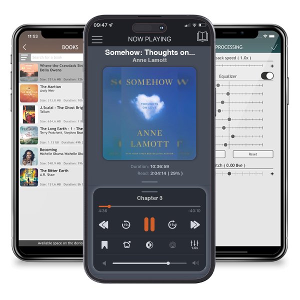 Download fo free audiobook Somehow: Thoughts on Love by Anne Lamott and listen anywhere on your iOS devices in the ListenBook app.