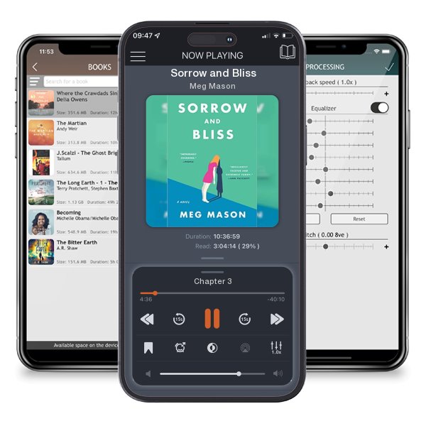 Download fo free audiobook Sorrow and Bliss by Meg Mason and listen anywhere on your iOS devices in the ListenBook app.