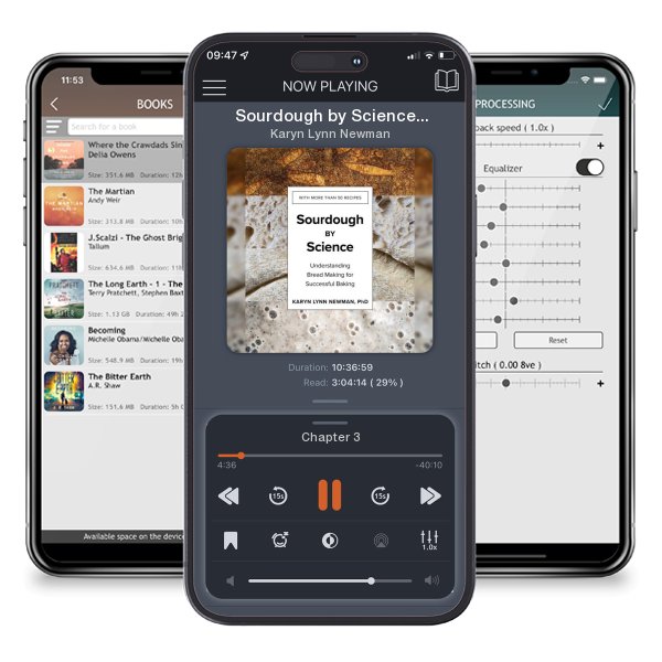 Download fo free audiobook Sourdough by Science: Understanding Bread Making for... by Karyn Lynn Newman and listen anywhere on your iOS devices in the ListenBook app.
