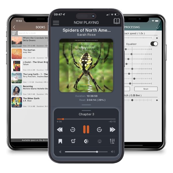 Download fo free audiobook Spiders of North America by Sarah Rose and listen anywhere on your iOS devices in the ListenBook app.