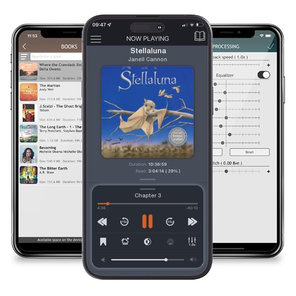 Download fo free audiobook Stellaluna by Janell Cannon and listen anywhere on your iOS devices in the ListenBook app.