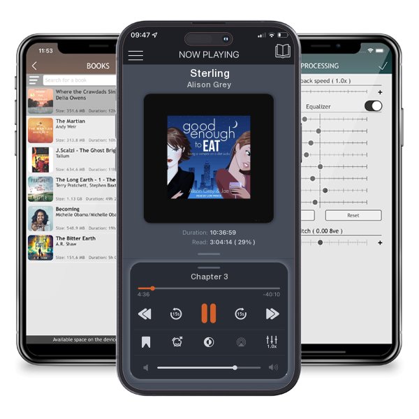 Download fo free audiobook Sterling by Alison Grey and listen anywhere on your iOS devices in the ListenBook app.