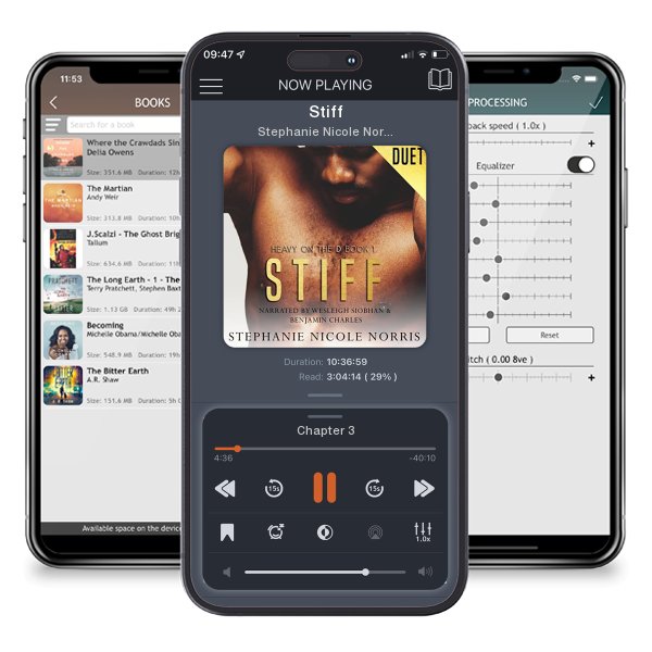 Download fo free audiobook Stiff by Stephanie Nicole Norris and listen anywhere on your iOS devices in the ListenBook app.