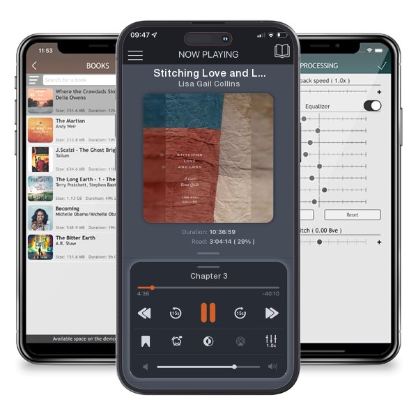 Download fo free audiobook Stitching Love and Loss: A Gee's Bend Quilt by Lisa Gail Collins and listen anywhere on your iOS devices in the ListenBook app.