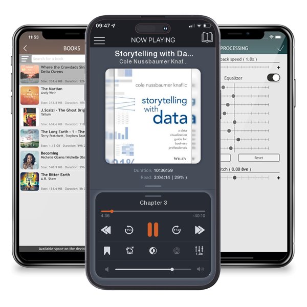 Download fo free audiobook Storytelling with Data: A Data Visualization Guide for... by Cole Nussbaumer Knaflic and listen anywhere on your iOS devices in the ListenBook app.