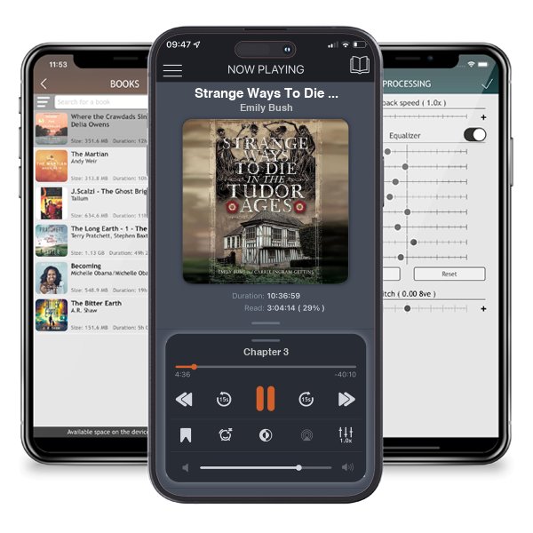 Download fo free audiobook Strange Ways To Die in the Tudor Ages by Emily Bush and listen anywhere on your iOS devices in the ListenBook app.
