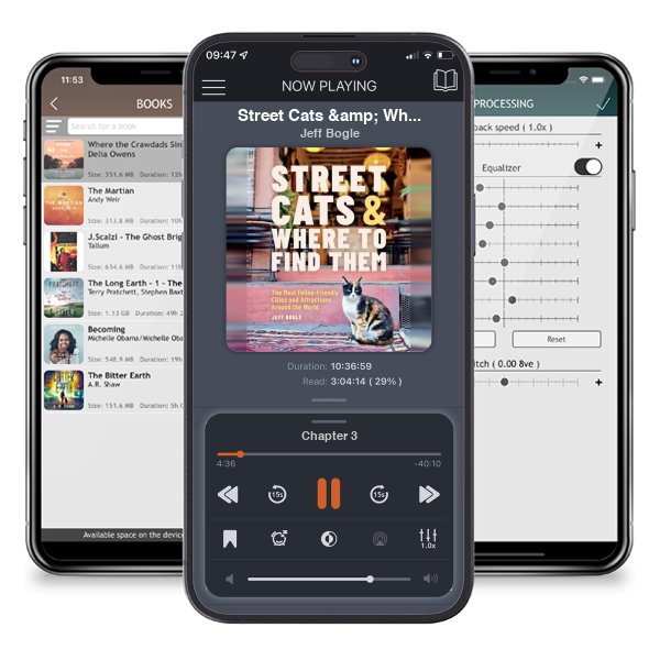 Download fo free audiobook Street Cats & Where to Find Them: The Most Feline-Friendly Cities and Attractions Around the World by Jeff Bogle and listen anywhere on your iOS devices in the ListenBook app.