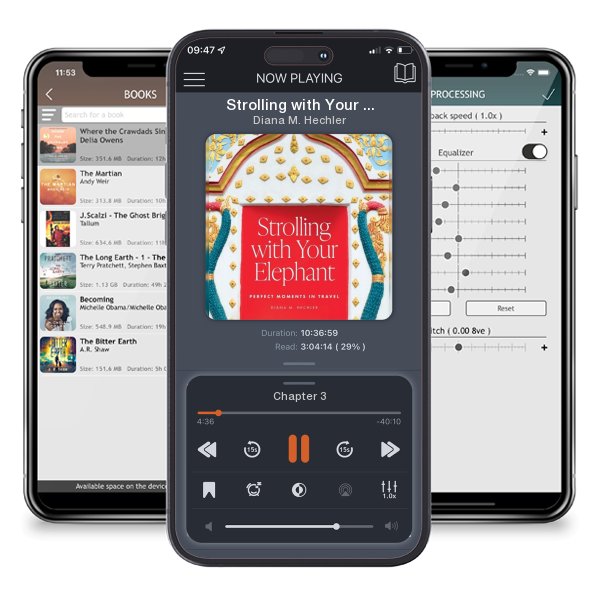 Download fo free audiobook Strolling with Your Elephant: Perfect Moments in Travel by Diana M. Hechler and listen anywhere on your iOS devices in the ListenBook app.