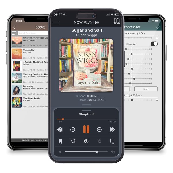 Download fo free audiobook Sugar and Salt by Susan Wiggs and listen anywhere on your iOS devices in the ListenBook app.