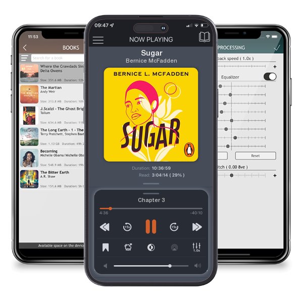 Download fo free audiobook Sugar by Bernice McFadden and listen anywhere on your iOS devices in the ListenBook app.
