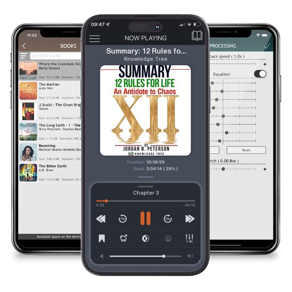 Download fo free audiobook Summary: 12 Rules for Life: An Antidote to Chaos by Jordan B. Peterson by Knowledge Tree and listen anywhere on your iOS devices in the ListenBook app.
