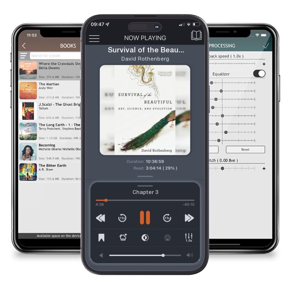 Download fo free audiobook Survival of the Beautiful: Art, Science, and Evolution by David Rothenberg and listen anywhere on your iOS devices in the ListenBook app.