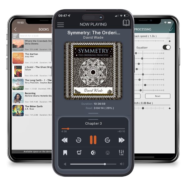 Download fo free audiobook Symmetry: The Ordering Principle (Wooden Books) by David Wade and listen anywhere on your iOS devices in the ListenBook app.