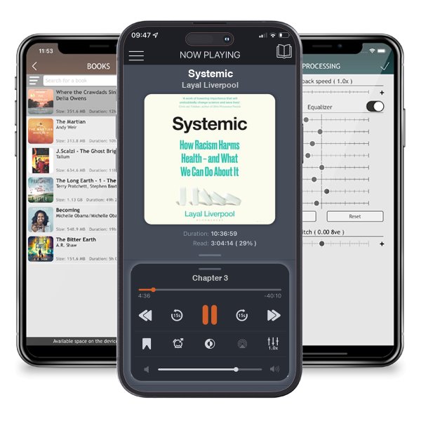 Download fo free audiobook Systemic by Layal Liverpool and listen anywhere on your iOS devices in the ListenBook app.