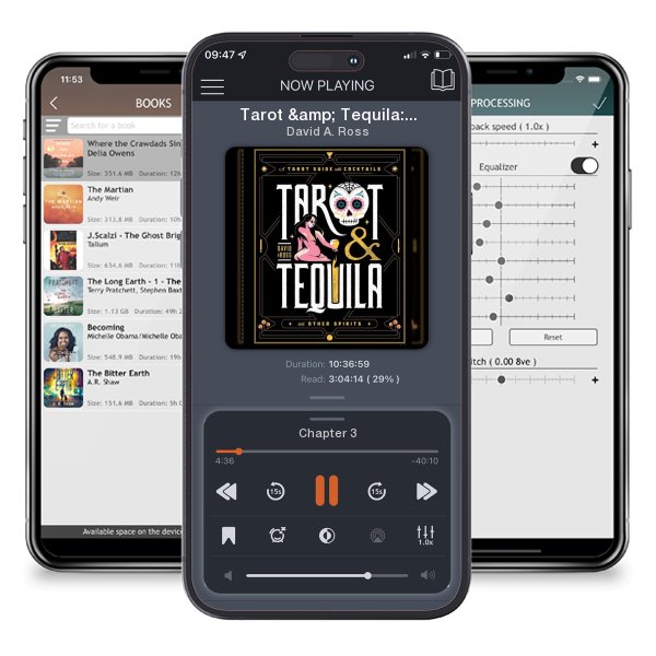 Download fo free audiobook Tarot & Tequila: A Tarot Guide with Cocktails by David A. Ross and listen anywhere on your iOS devices in the ListenBook app.
