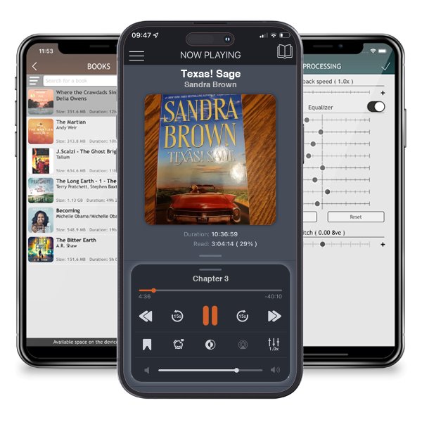 Download fo free audiobook Texas! Sage by Sandra Brown and listen anywhere on your iOS devices in the ListenBook app.