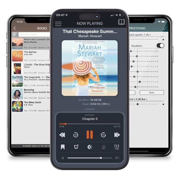 Download fo free audiobook That Chesapeake Summer by Mariah Stewart and listen anywhere on your iOS devices in the ListenBook app.