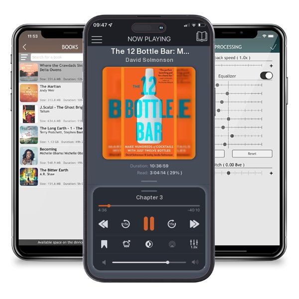 Download fo free audiobook The 12 Bottle Bar: Make Hundreds of Cocktails with Just Twelve Bottles by David Solmonson and listen anywhere on your iOS devices in the ListenBook app.