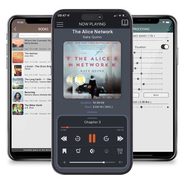 Download fo free audiobook The Alice Network by Kate Quinn and listen anywhere on your iOS devices in the ListenBook app.
