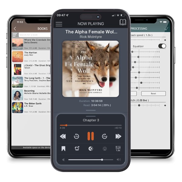 Download fo free audiobook The Alpha Female Wolf: The Fierce Legacy of Yellowstone's 06 by Rick McIntyre and listen anywhere on your iOS devices in the ListenBook app.