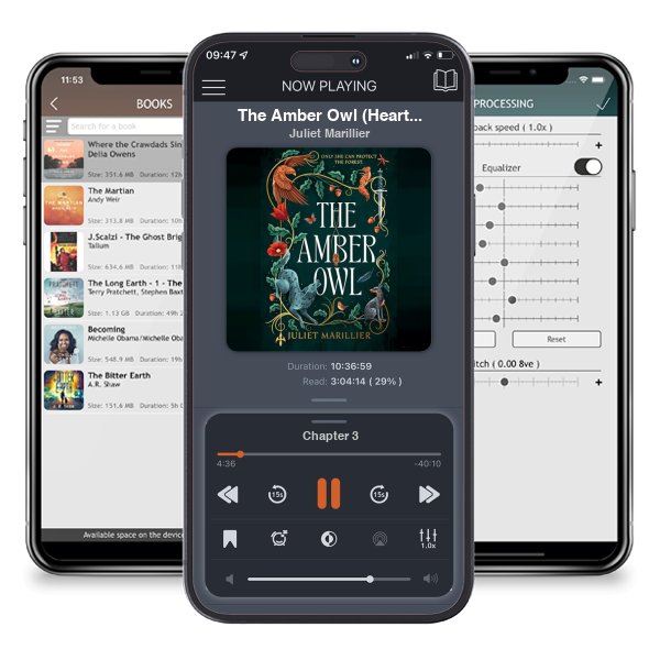 Download fo free audiobook The Amber Owl (Heartwood, #1) by Juliet Marillier and listen anywhere on your iOS devices in the ListenBook app.