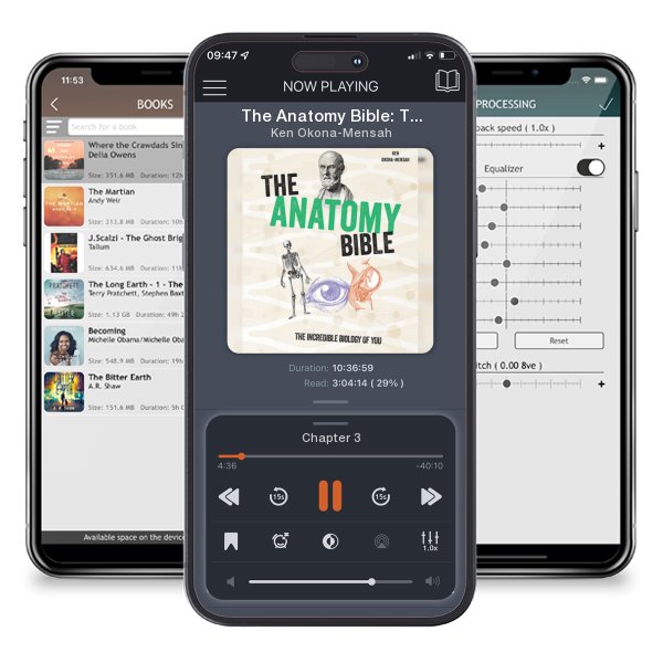Download fo free audiobook The Anatomy Bible: The Incredible Biology of You by Ken Okona-Mensah and listen anywhere on your iOS devices in the ListenBook app.