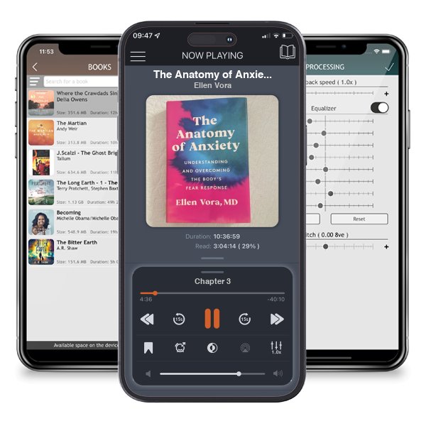 Download fo free audiobook The Anatomy of Anxiety by Ellen Vora and listen anywhere on your iOS devices in the ListenBook app.