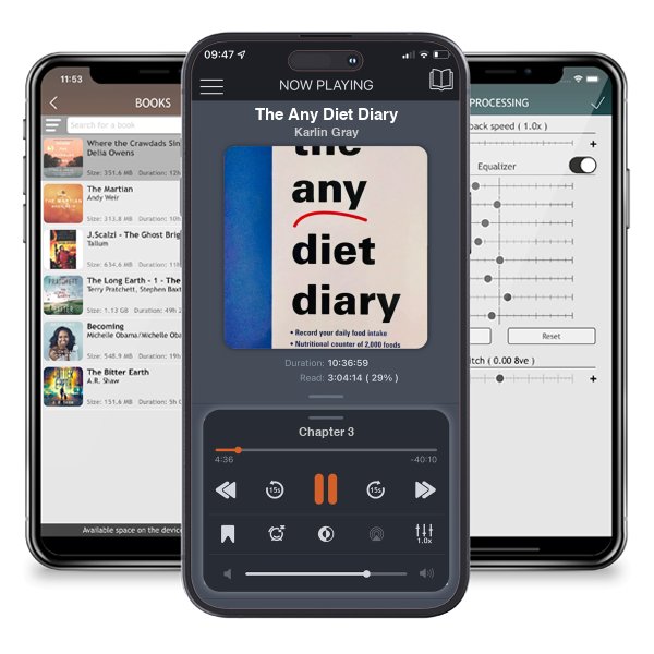 Download fo free audiobook The Any Diet Diary by Karlin Gray and listen anywhere on your iOS devices in the ListenBook app.