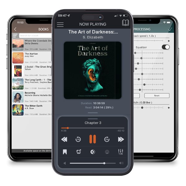 Download fo free audiobook The Art of Darkness: A Treasury of the Morbid, Melancholic and Macabre (Art in the Margins) by S. Elizabeth and listen anywhere on your iOS devices in the ListenBook app.