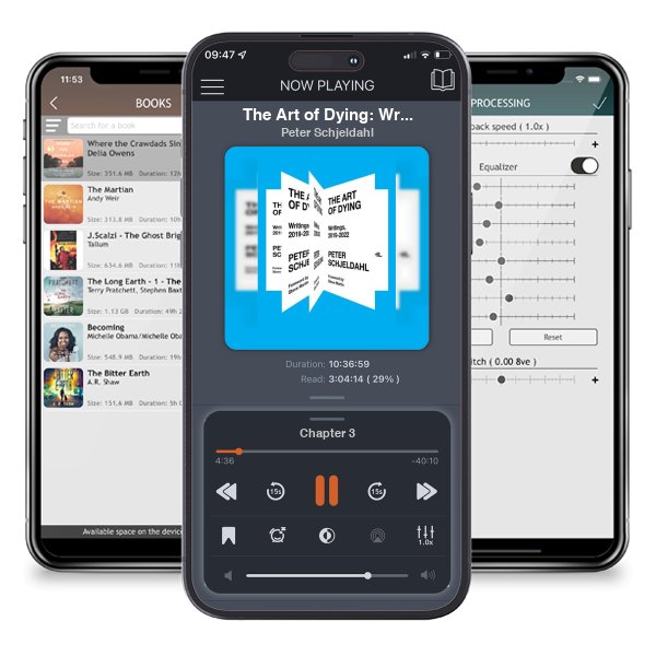 Download fo free audiobook The Art of Dying: Writings, 2019-2022 by Peter Schjeldahl and listen anywhere on your iOS devices in the ListenBook app.