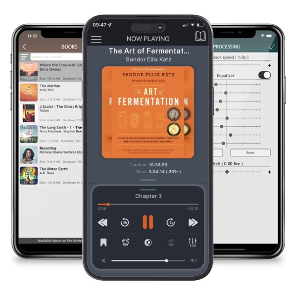 Download fo free audiobook The Art of Fermentation: New York Times Bestseller by Sandor Ellix Katz and listen anywhere on your iOS devices in the ListenBook app.