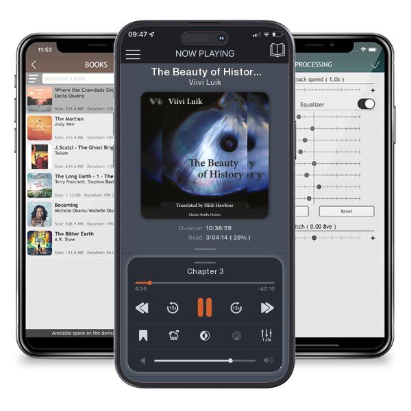Download fo free audiobook The Beauty of History by Viivi Luik and listen anywhere on your iOS devices in the ListenBook app.