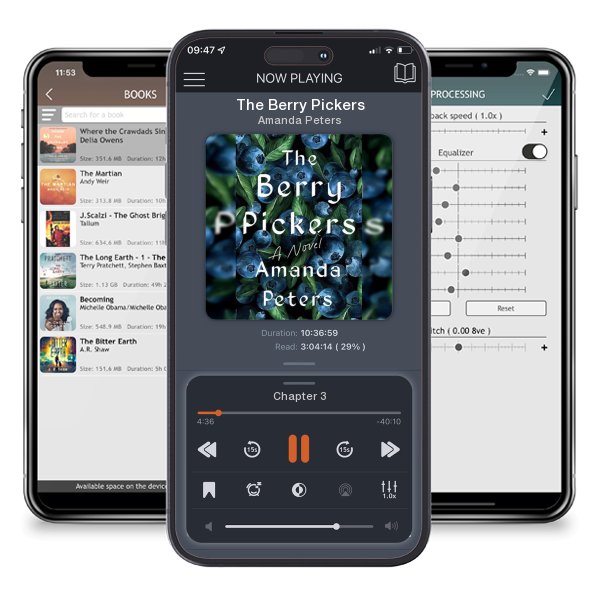 Download fo free audiobook The Berry Pickers by Amanda Peters and listen anywhere on your iOS devices in the ListenBook app.