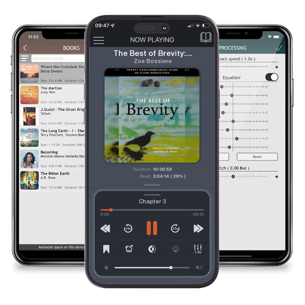 Download fo free audiobook The Best of Brevity: Twenty Groundbreaking Years of Flash Nonfiction by Zoe Bossiere and listen anywhere on your iOS devices in the ListenBook app.