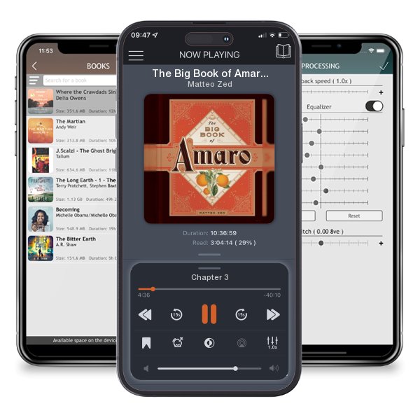 Download fo free audiobook The Big Book of Amaro by Matteo Zed and listen anywhere on your iOS devices in the ListenBook app.