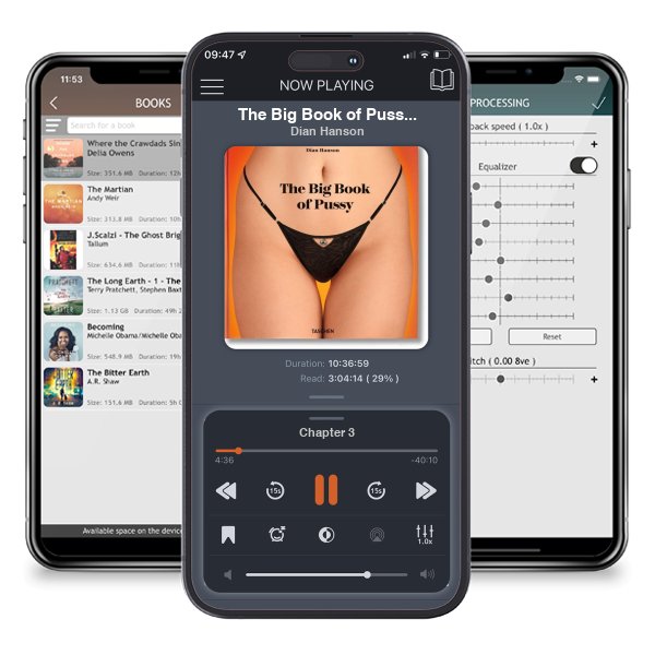 Download fo free audiobook The Big Book of Pussy by Dian Hanson and listen anywhere on your iOS devices in the ListenBook app.