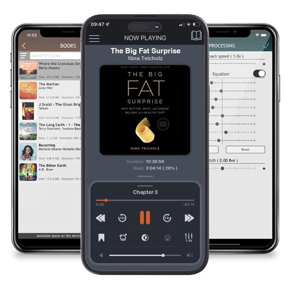 Download fo free audiobook The Big Fat Surprise by Nina Teicholz and listen anywhere on your iOS devices in the ListenBook app.