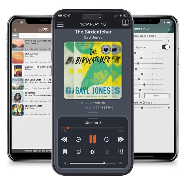 Download fo free audiobook The Birdcatcher by Gayl Jones and listen anywhere on your iOS devices in the ListenBook app.