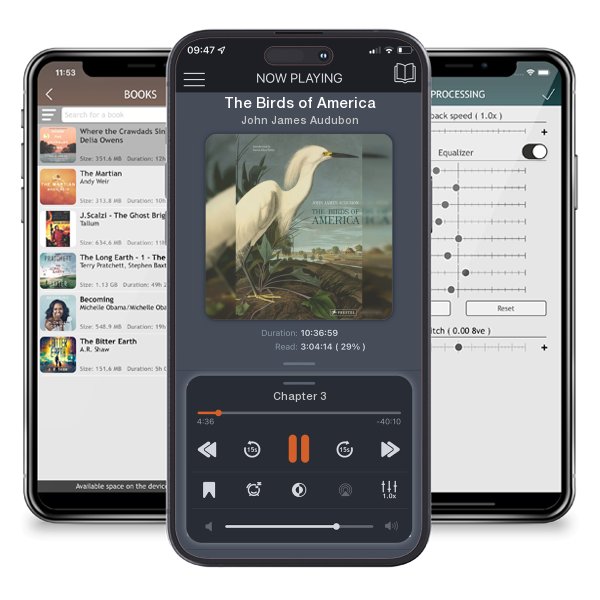 Download fo free audiobook The Birds of America by John James Audubon and listen anywhere on your iOS devices in the ListenBook app.