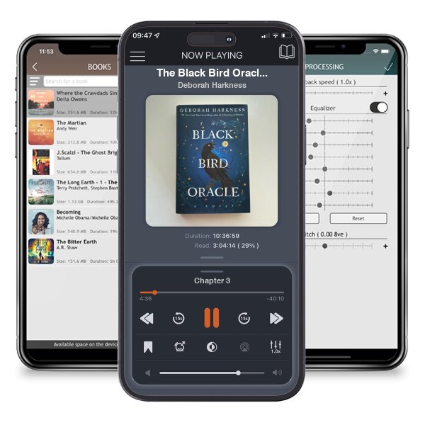 Download fo free audiobook The Black Bird Oracle by Deborah Harkness and listen anywhere on your iOS devices in the ListenBook app.