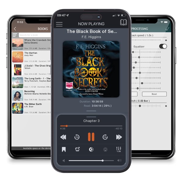 Download fo free audiobook The Black Book of Secrets by F.E. Higgins and listen anywhere on your iOS devices in the ListenBook app.
