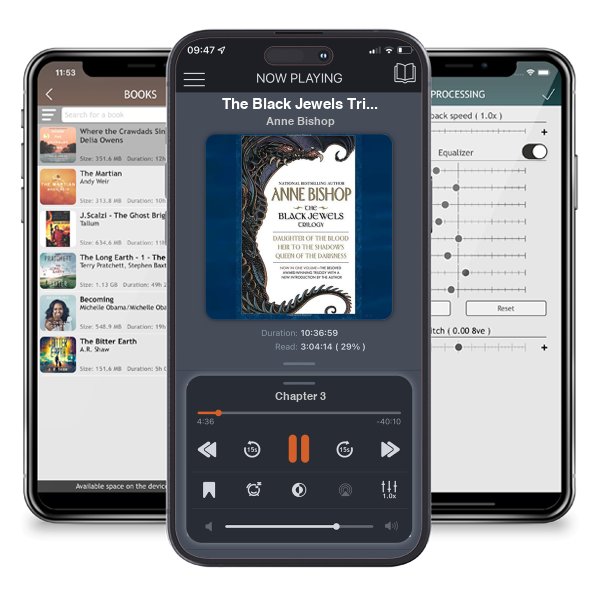 Download fo free audiobook The Black Jewels Trilogy: Daughter of the Blood, Heir to the Shadows, Queen of the Darkness (The Black Jewels, #1-3) by Anne Bishop and listen anywhere on your iOS devices in the ListenBook app.