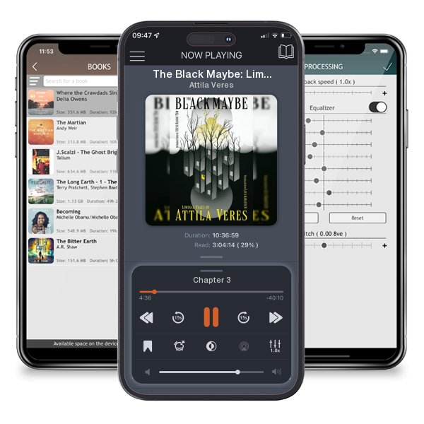 Download fo free audiobook The Black Maybe: Liminal Tales by Attila Veres and listen anywhere on your iOS devices in the ListenBook app.
