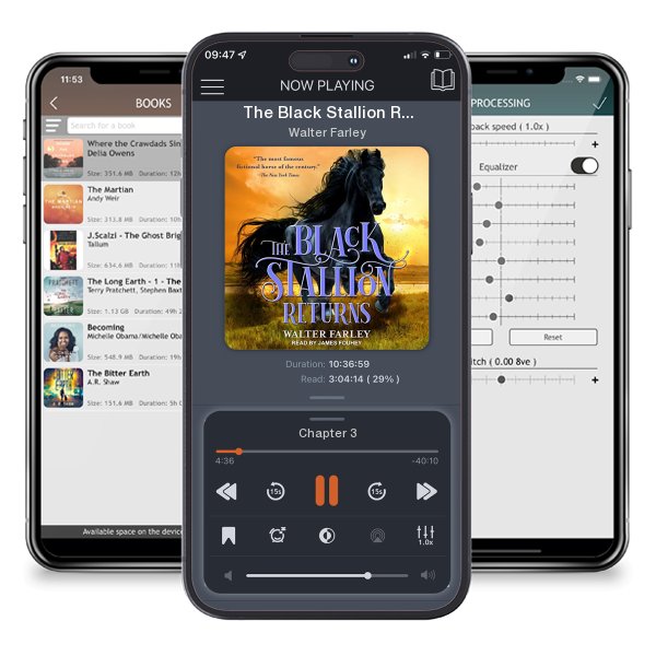 Download fo free audiobook The Black Stallion Returns by Walter Farley and listen anywhere on your iOS devices in the ListenBook app.